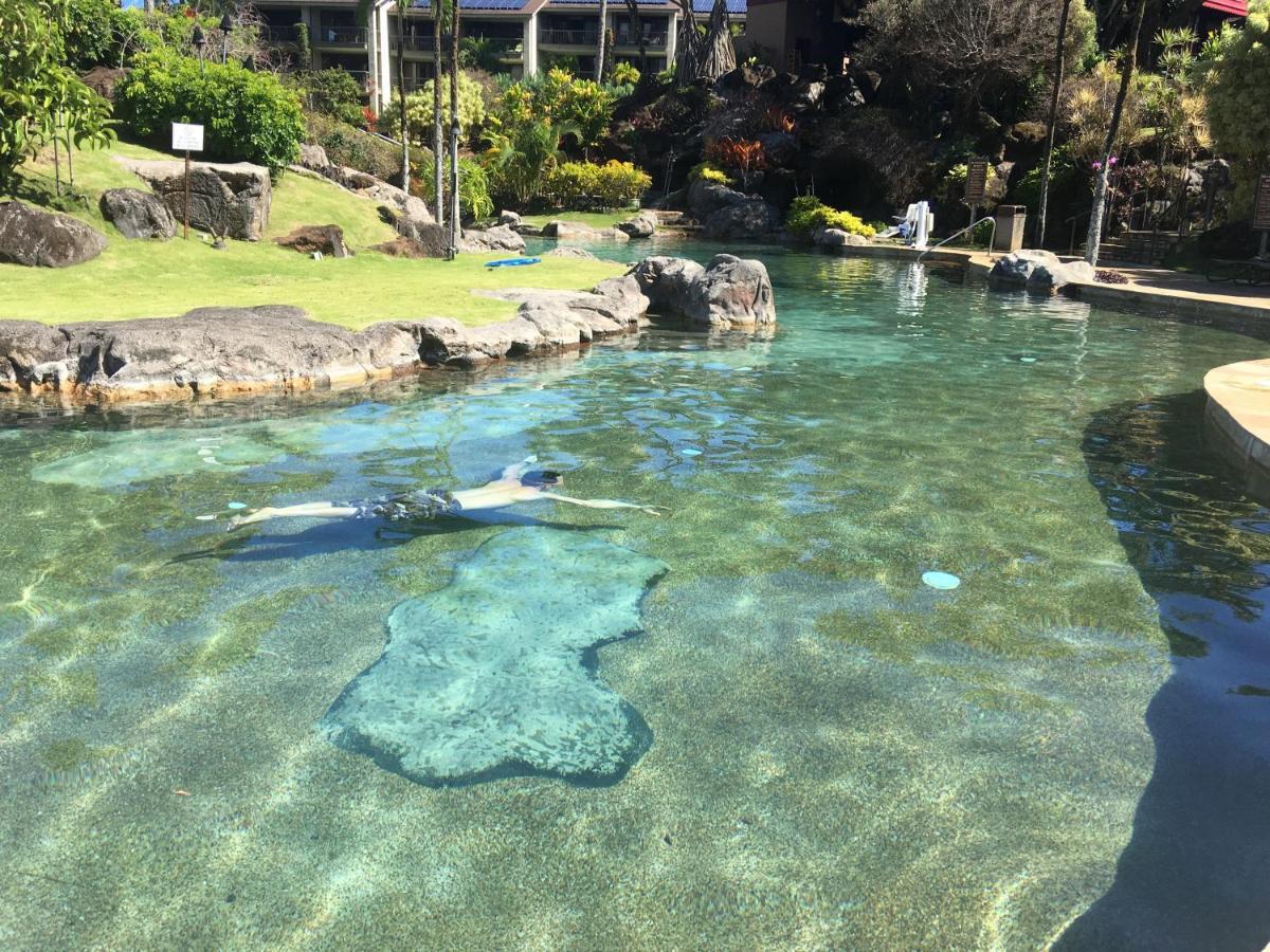 Hotel Bbs Biz E Hbr 4104/5/6 Princeville Esterno foto