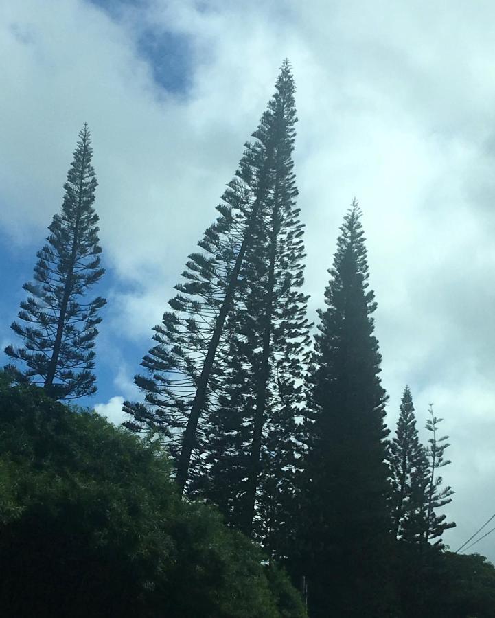 Hotel Bbs Biz E Hbr 4104/5/6 Princeville Esterno foto